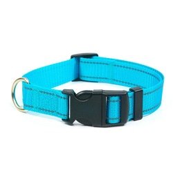Sky Blue nylon dog collar
